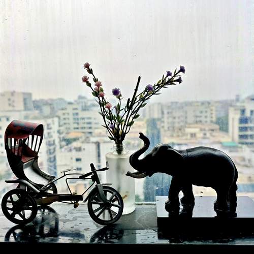 Dhaka\'s Soul on a Window Sill