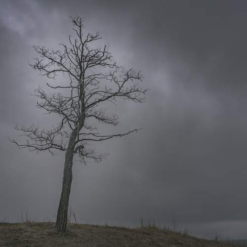 Photo #13675602