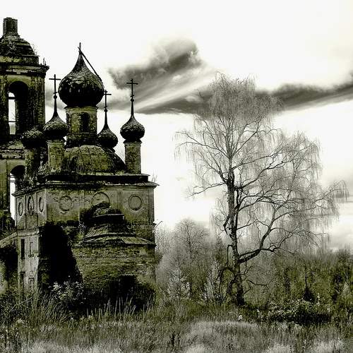 Photo #13675696