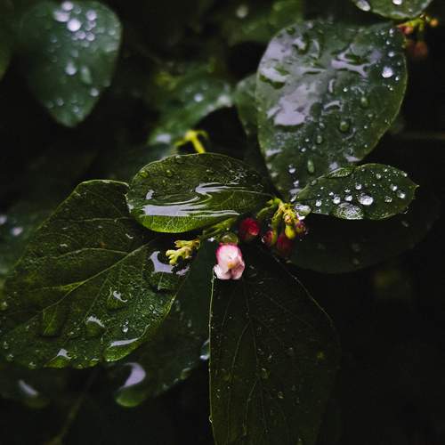 Photo #13675697