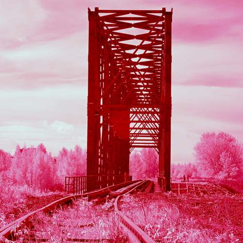 Photo #13675730