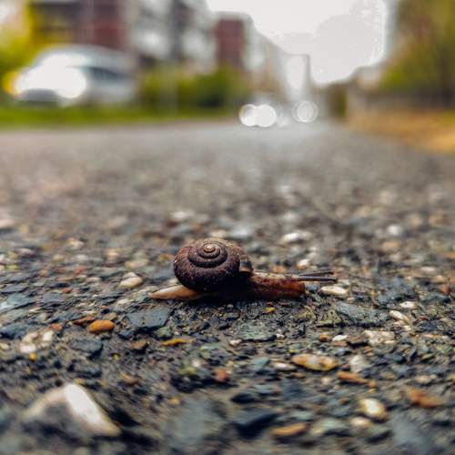 Photo #13675767