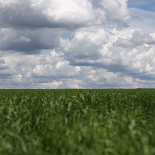 Photo #13675813