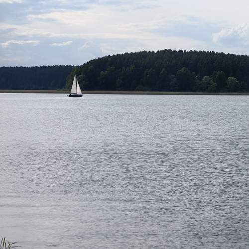 Photo #13675942