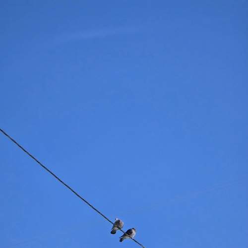 Photo #13675948