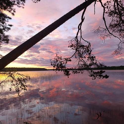 Photo #13675980