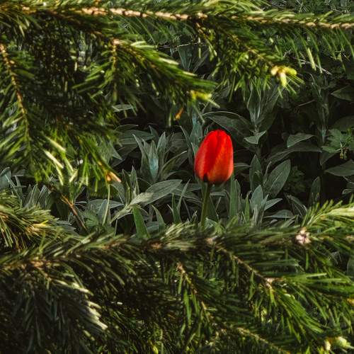 Photo #13676063
