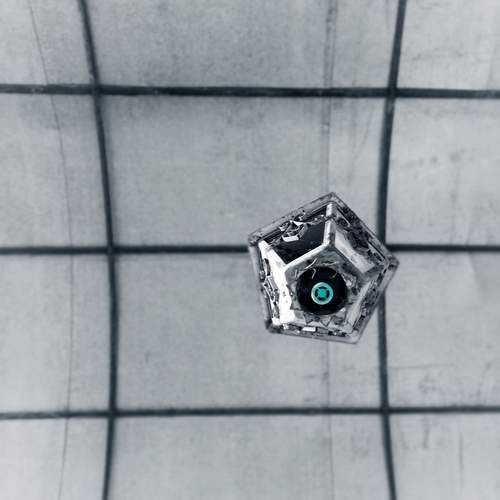 Photo #13676097
