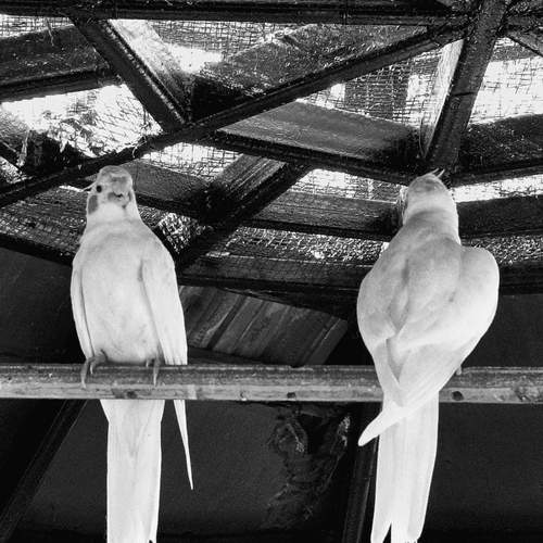 Photo #13676156