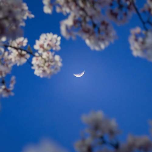 Photo #13676287