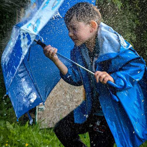 Photo #13676289