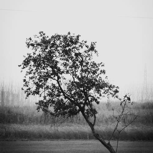 Photo #13676299
