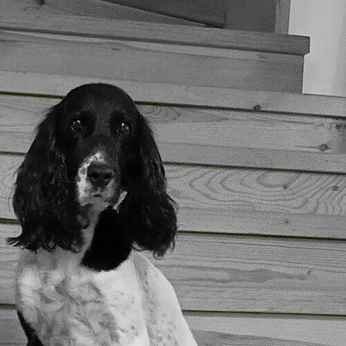 Photo #13676325