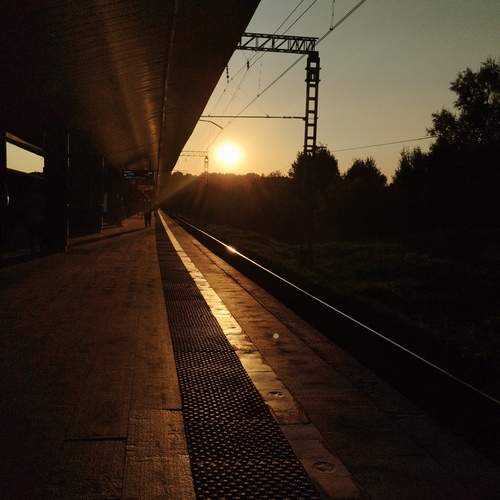 Photo #13676335