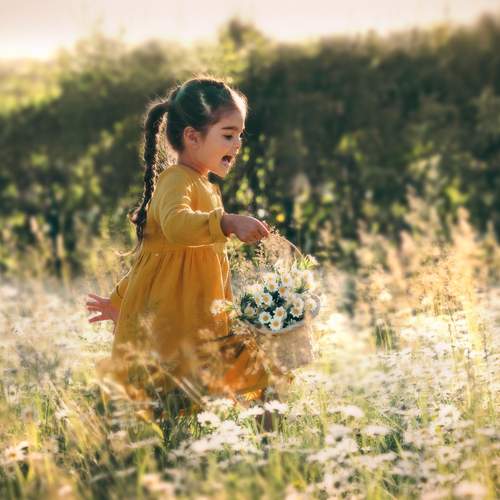 Photo #13676385