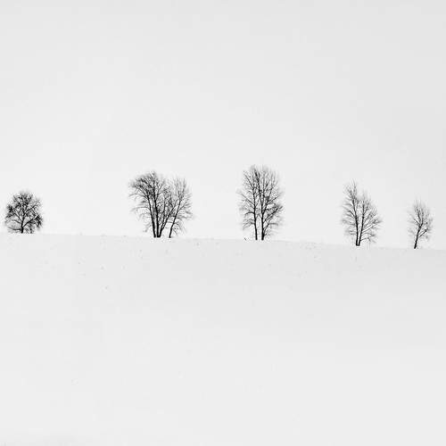 Photo #13676390