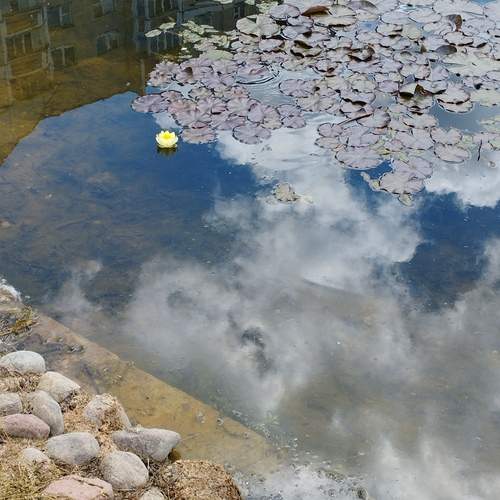 Photo #13676503