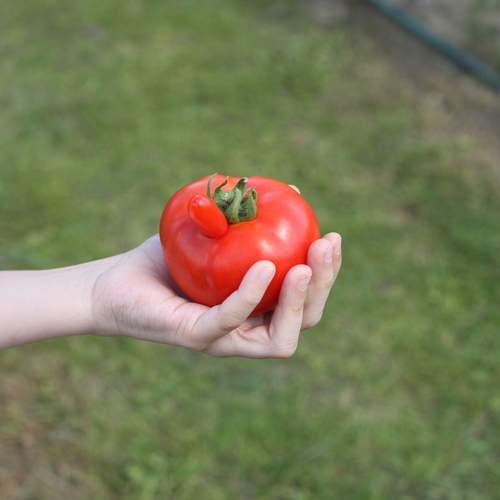 Photo #13676511