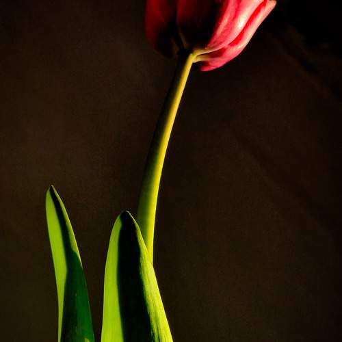 Photo #13676558