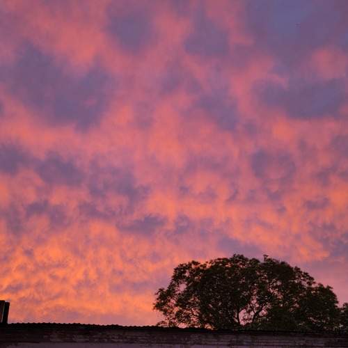 Photo #13676565