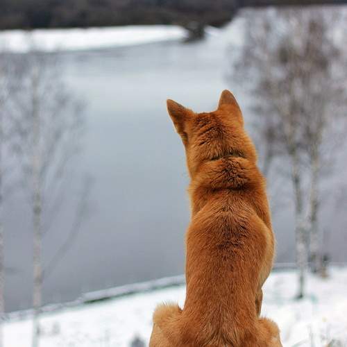 Photo #13676586