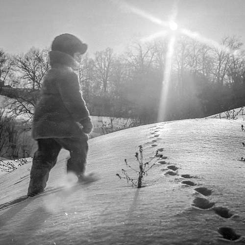 Photo #13676618