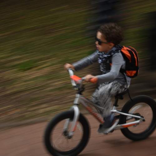 Photo #13676675