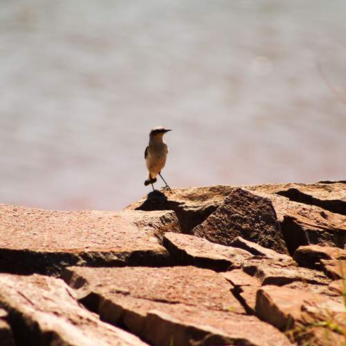 Photo #13676682