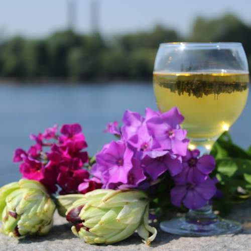 Photo #13676724