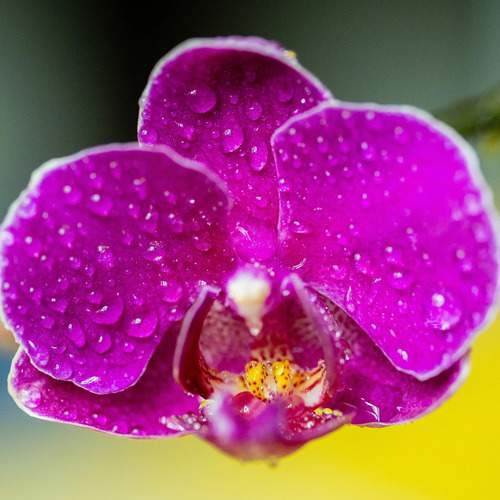 Photo #13676783