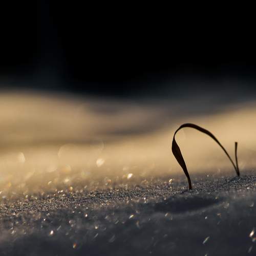 Photo #13676827