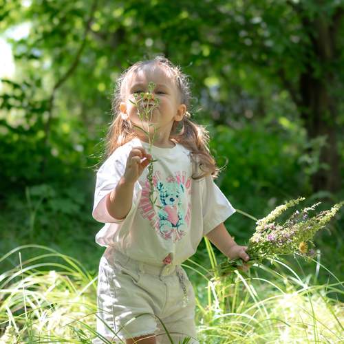 Photo #13676884