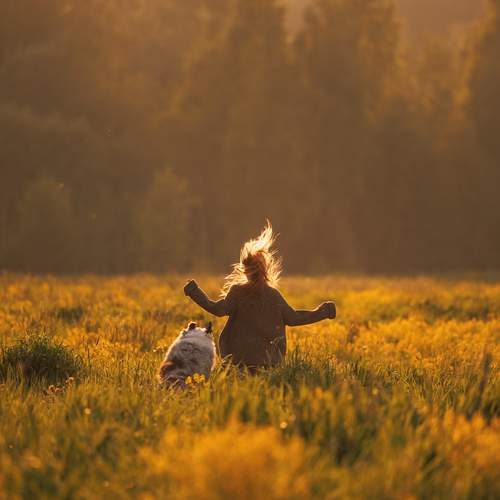 Photo #13676886