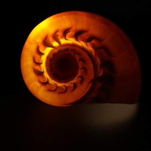 The Inner Glow of Geometry