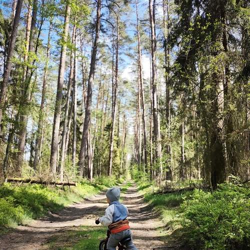 Photo #13676981