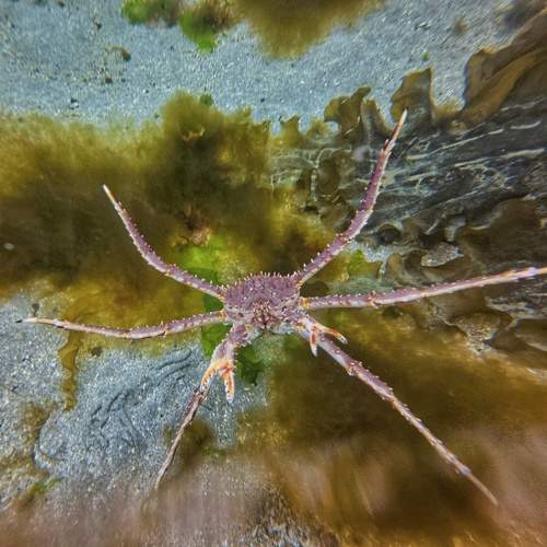 Photo #13677037