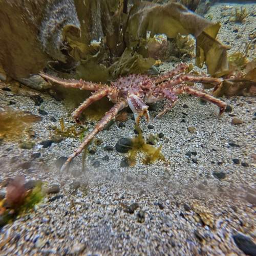 Photo #13677040