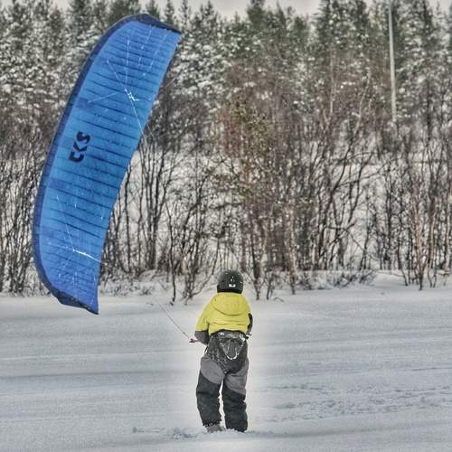 Photo #13677061
