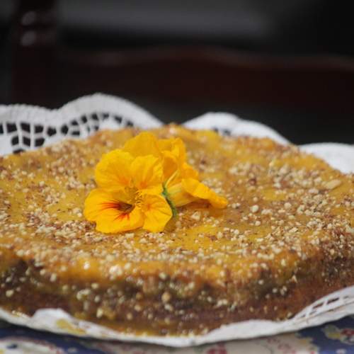Photo #13677071