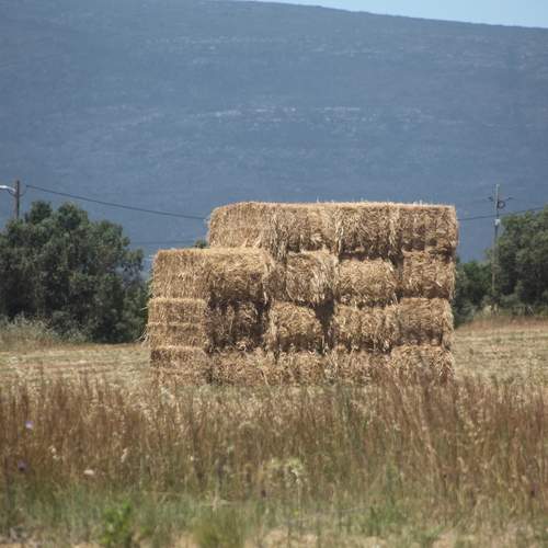 Photo #13677075