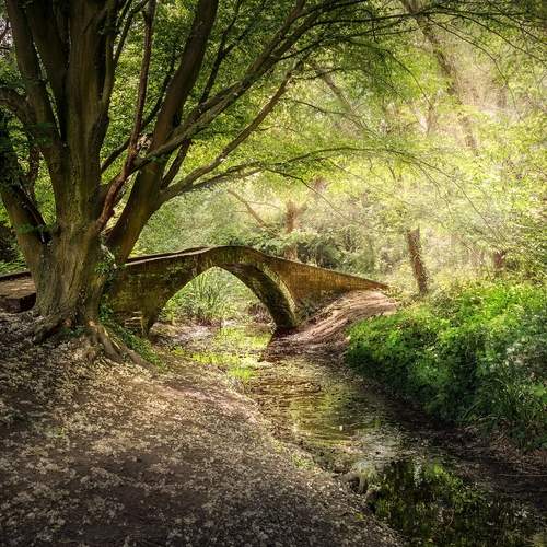 Pack bridge
