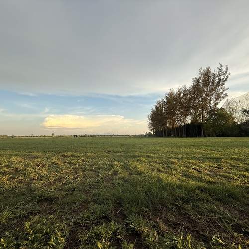 Photo #13677164