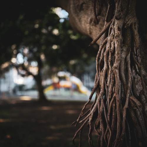 Photo #13677231