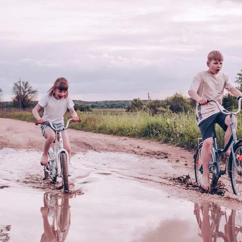 Photo #13677261