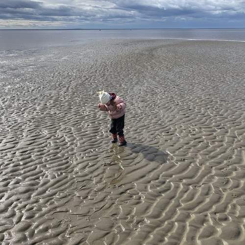 Photo #13677292