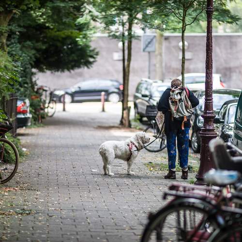 Photo #13677311