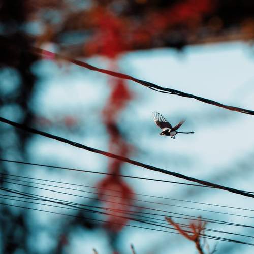 Photo #13677404