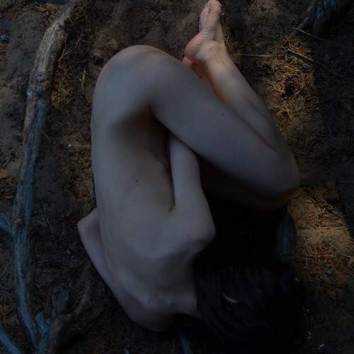 Photo #13677458