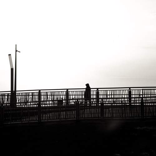 Photo #13677553