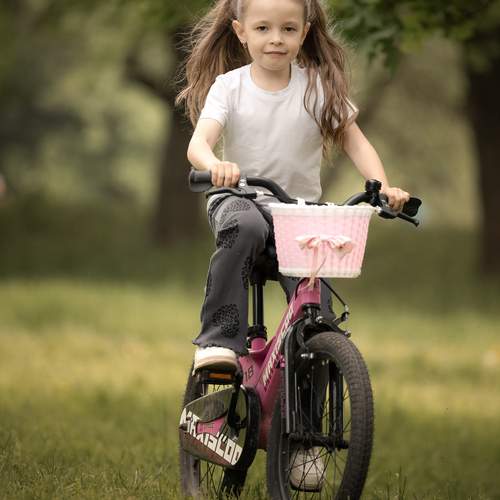 Photo #13677578